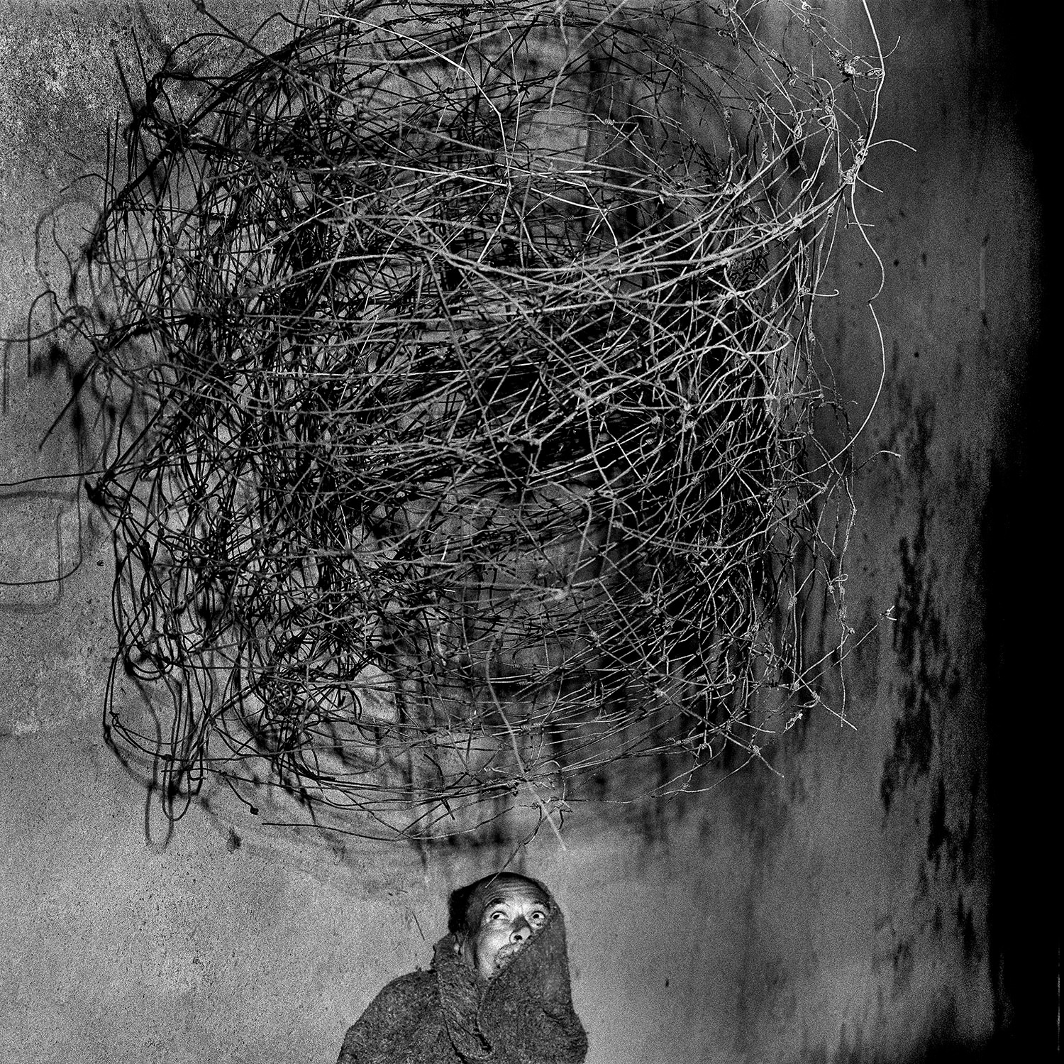 アート・デザイン・音楽 Roger Ballen \