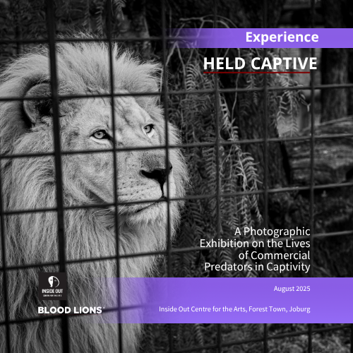 Held Captive Photography Exhibition Public Tours