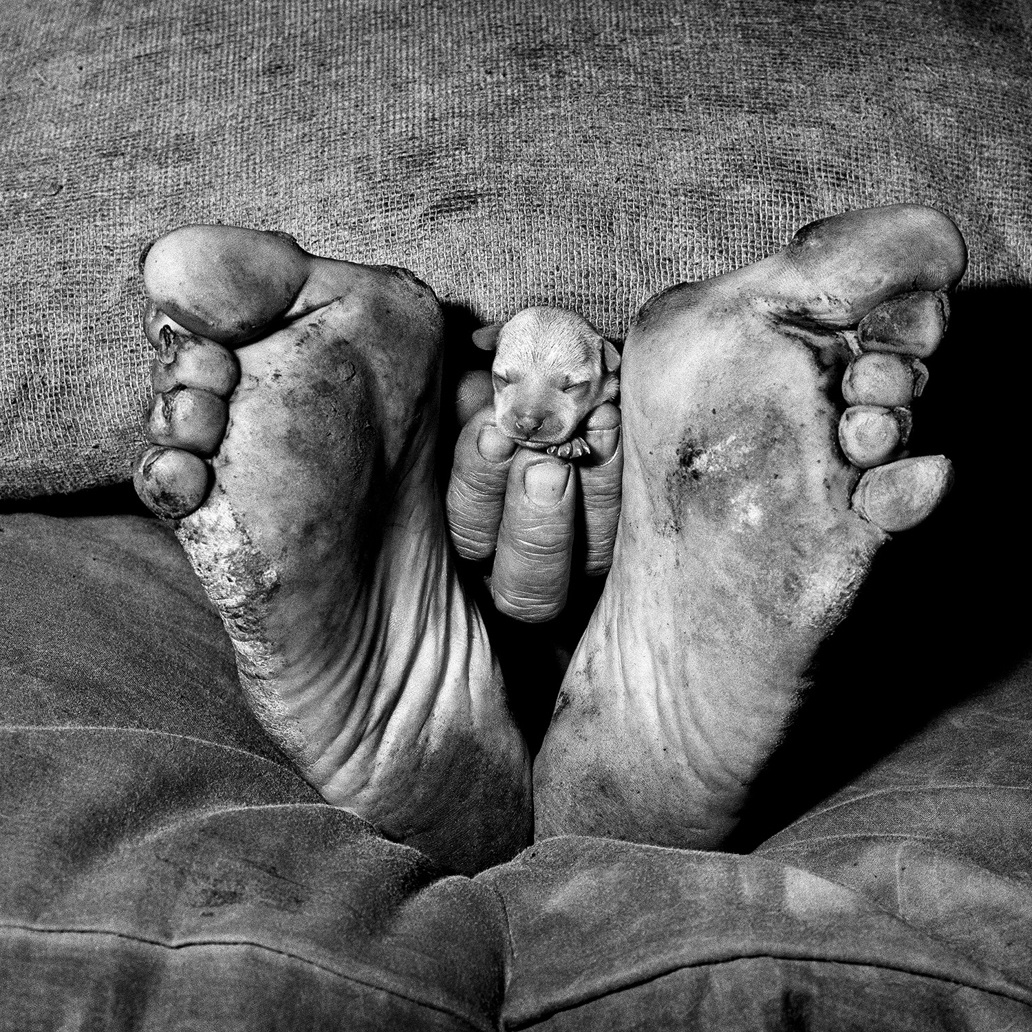 Outland | Roger Ballen Photogr