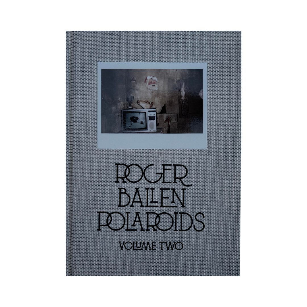 Polaroids: volume 2