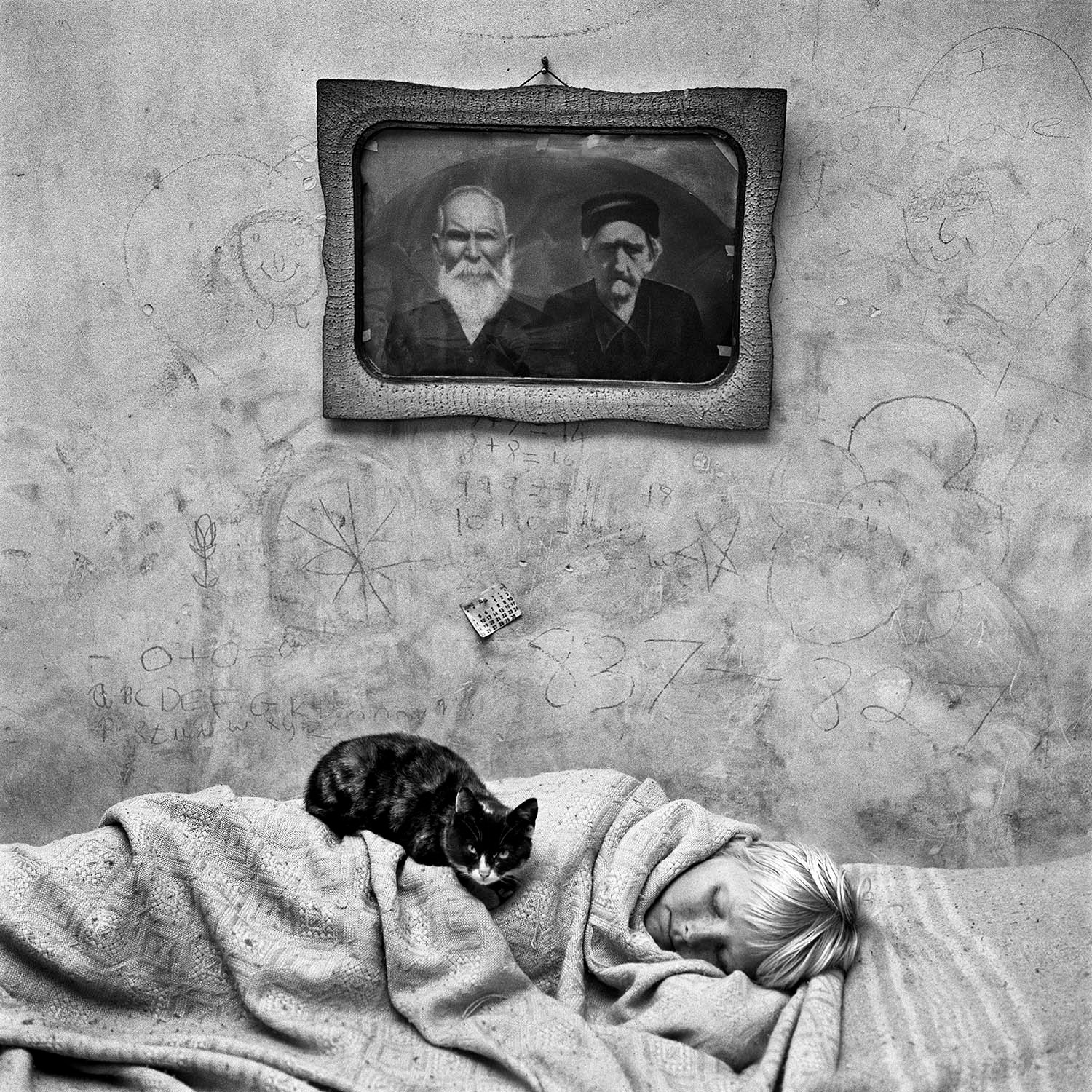洋書 BALLENESQUE: Roger Ballen: Retrospective Amazon.com: Ballenesque: Roger Ballen: A Retrospective