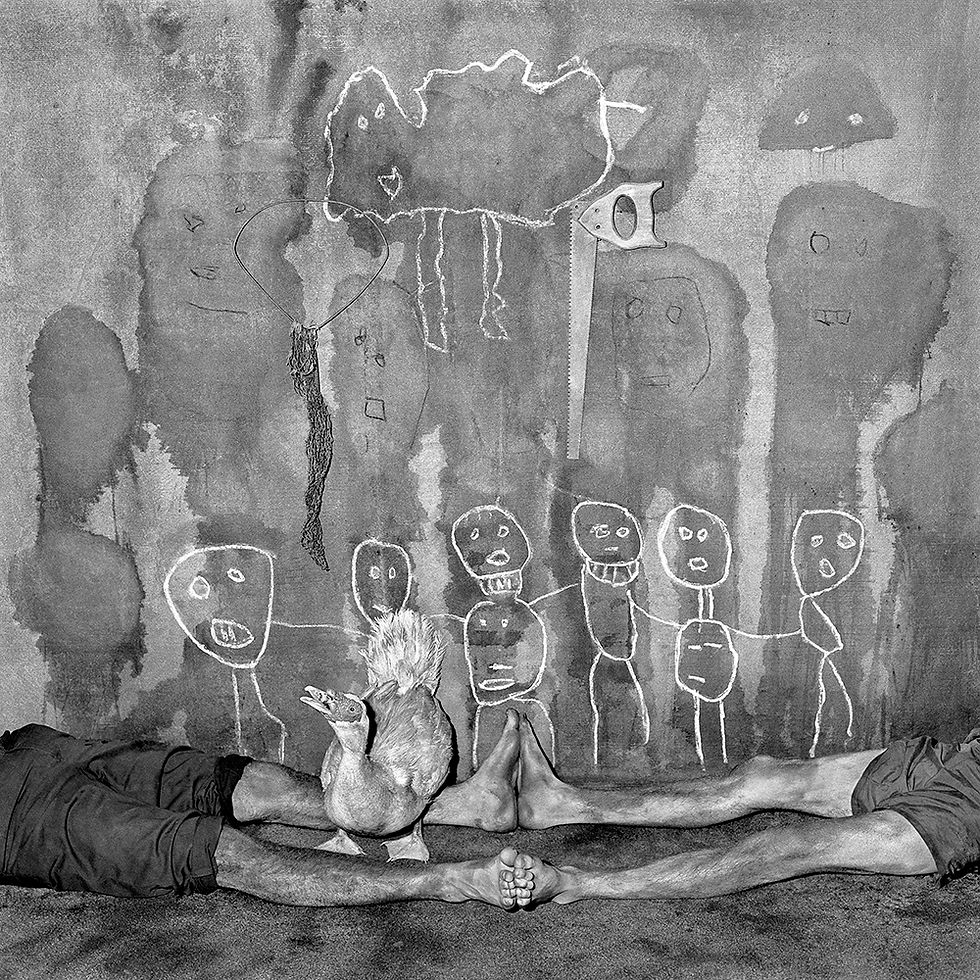 3. Ballen, Squawk, 2005, Asylum of the Birds series