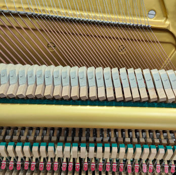 Reconditioned by Japan Technician