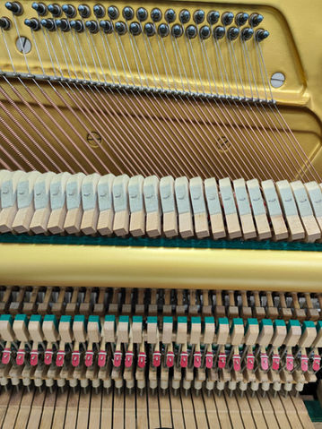 Reconditioned by Japan Technician