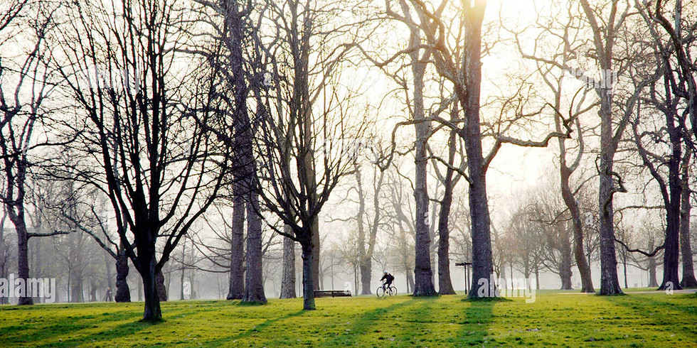 South London Trees Ride