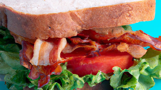 Turkey BLT