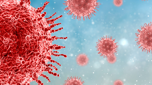 משבר כלכלי חמור או קרקע פוריה להזדמנויות?