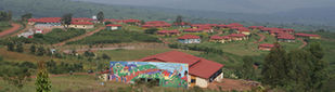 In The Village and Beyond