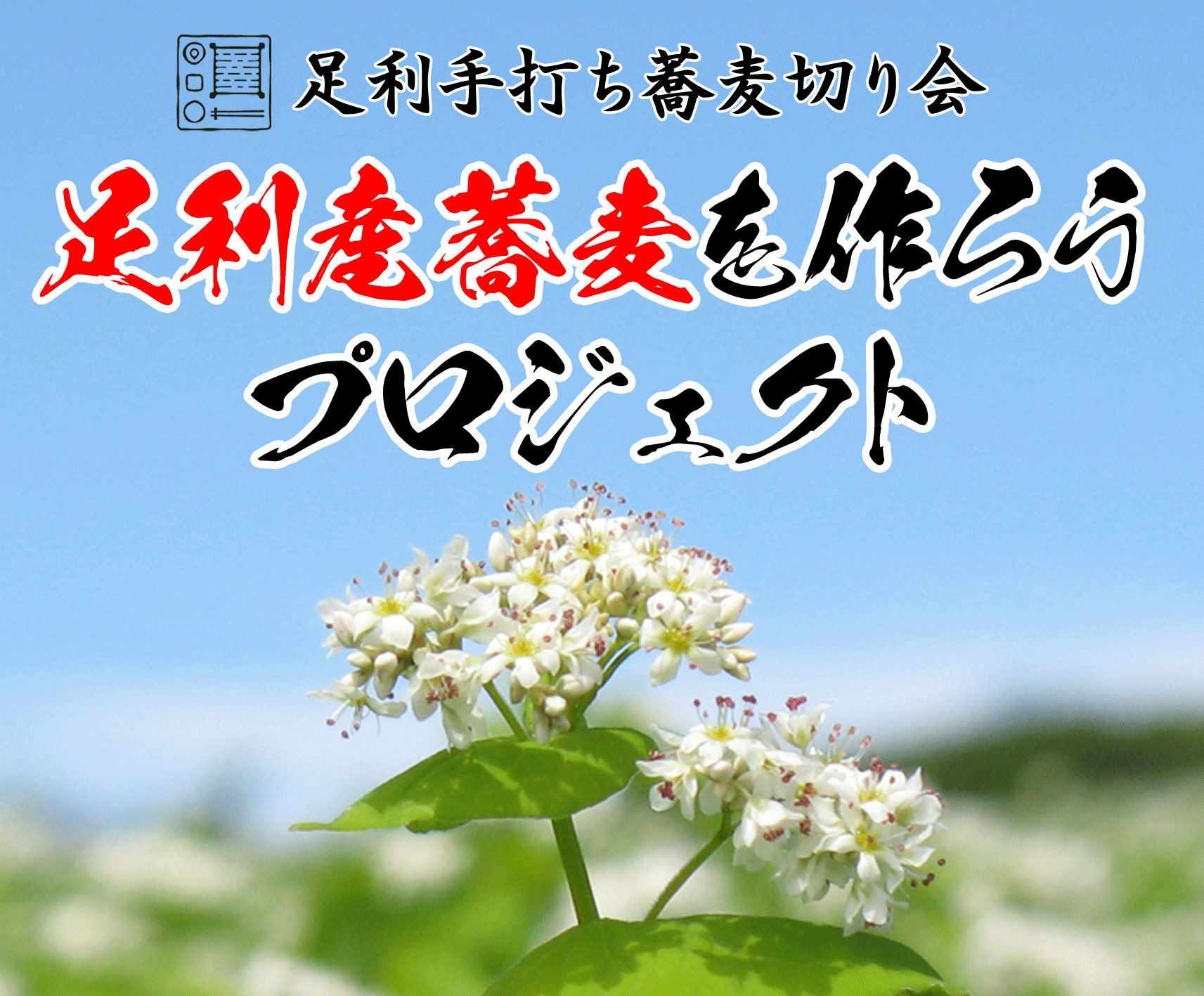 画像12ハーフ（足利さん）.gif