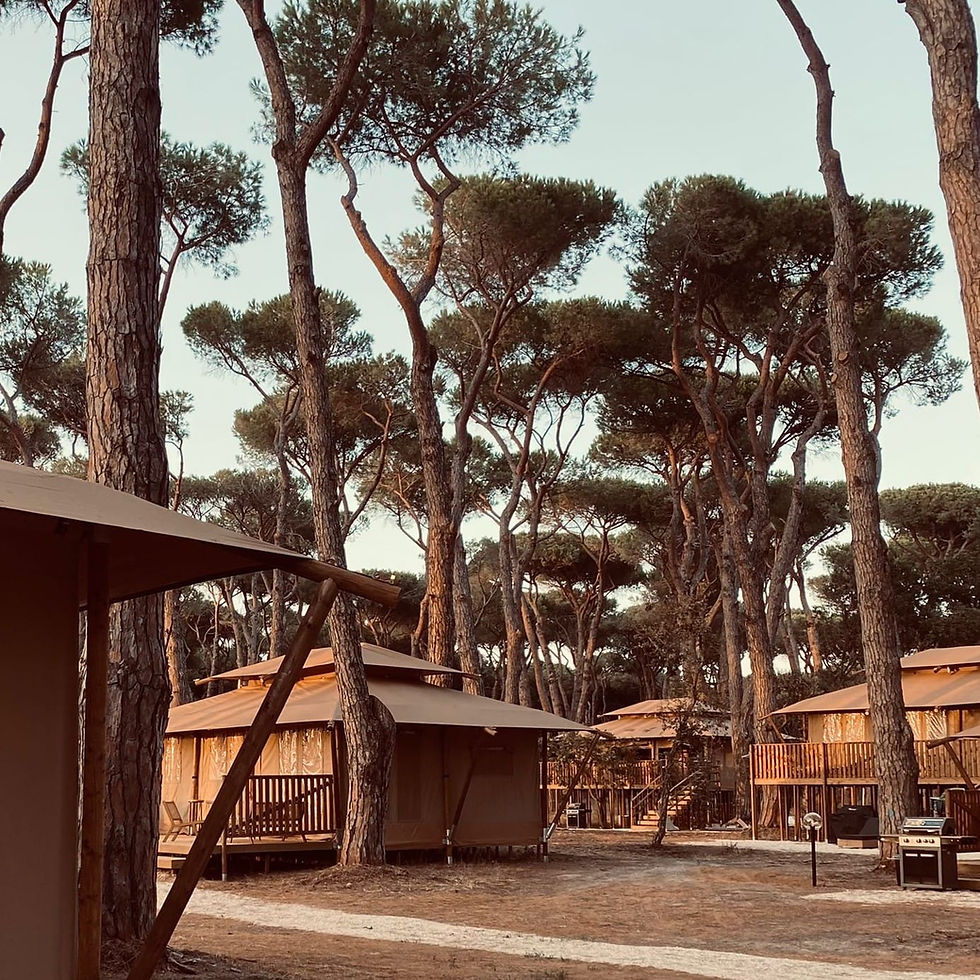 Vawidi Camp