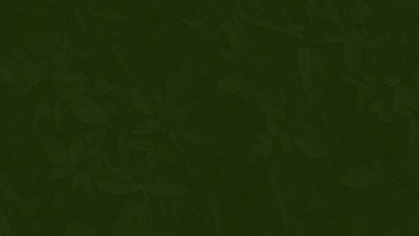 DWM QRsArtboard 3.png