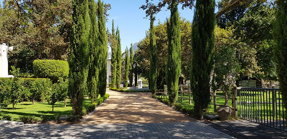 Entrance Driveway