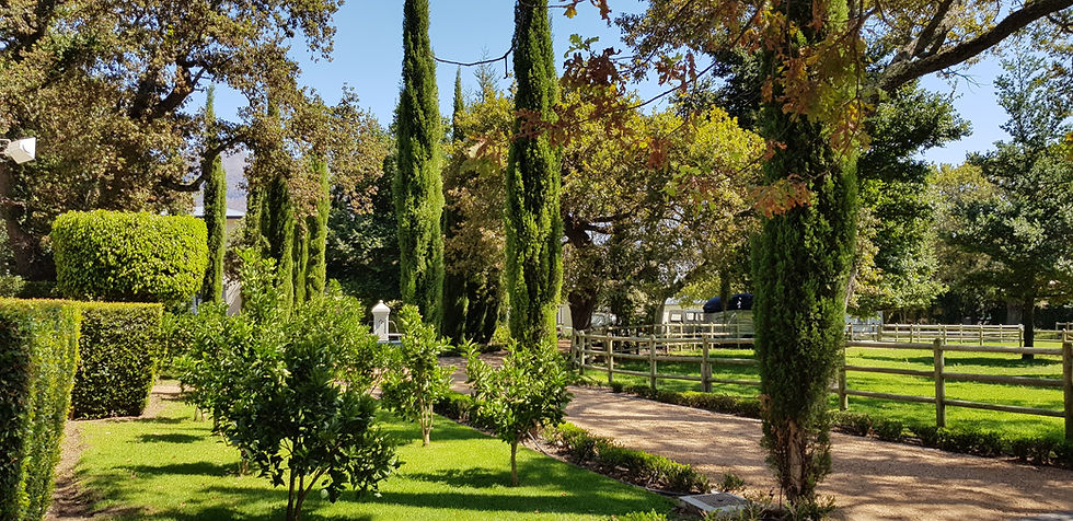 Entrance Driveway