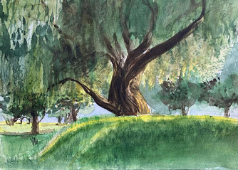 image2.jpeg