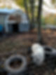 IMG_2645.jpeg