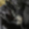 4C7122ED-B874-4827-84C7-DD328491FE4A.jpg