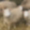 399715002_18001344953481079_6181716295950402088_n.jpg