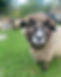 365226659_282290401114208_7927877376702599605_n.jpg