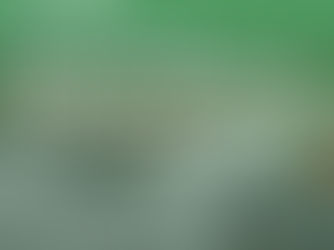 Asi Nehri'nin Bugünü ve Geleceği, Türkiye'nin İlk Sivil Çevre Vizyon Planı ve  İstanbul Perspektifini Konunun Uzmanları İle Konuştuk..