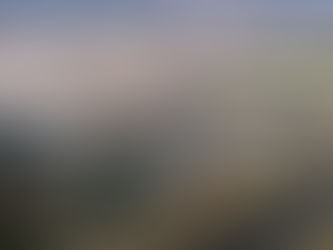 Asi Nehri Havzası Çevre Vizyon Planı Saha Çalışmalarında Sinem Kayıkçı Mileyha ve Samandağ Sahilinin Koruma Altına Alma Mücadelesinin Gerçeklerini Anlatıyor