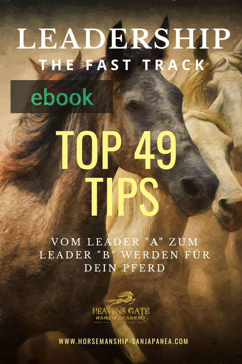 Vorderansicht gratis download Ebook "Top 49 Tips"