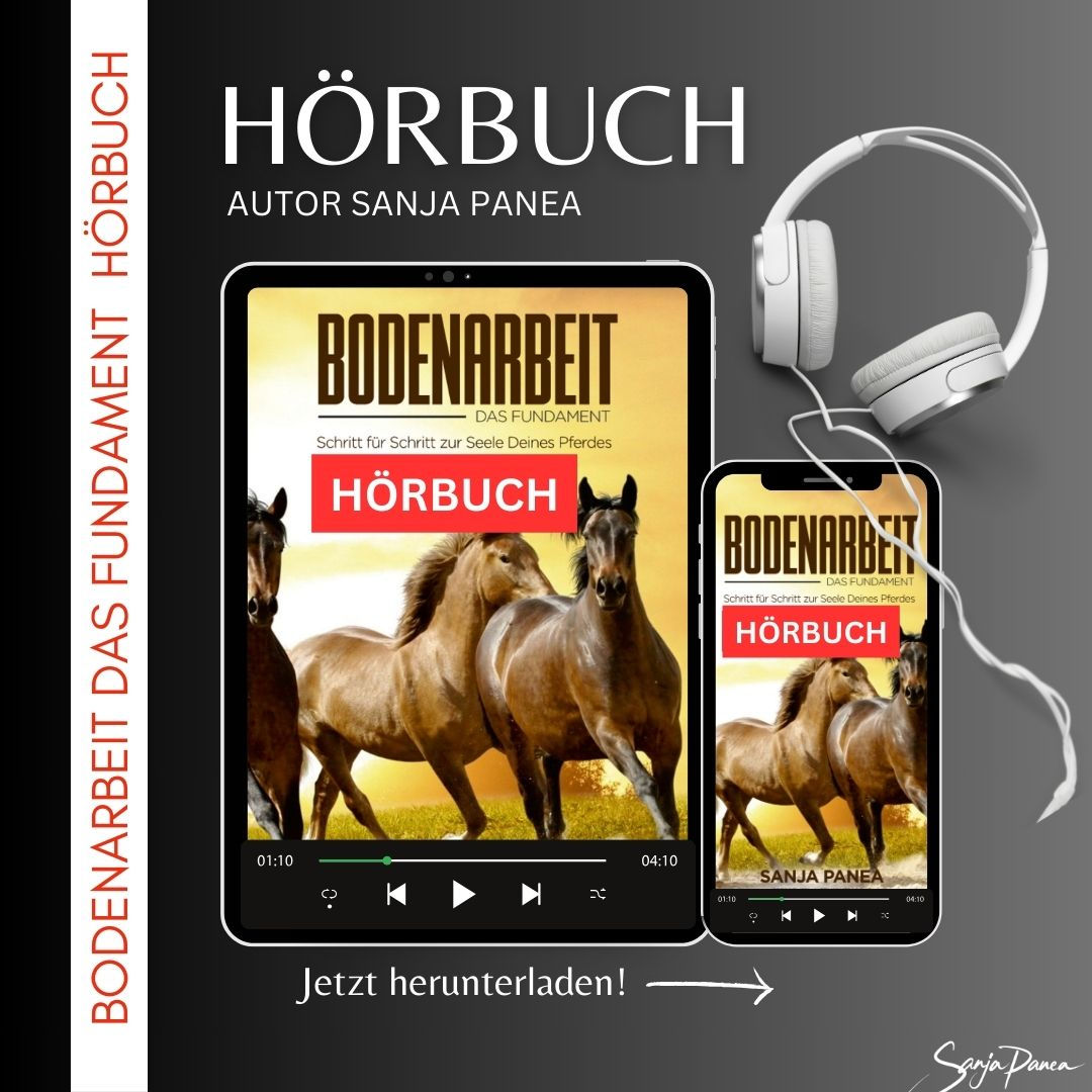 Vorderansicht Hörbuch " Bodenarbeit das Fundament"