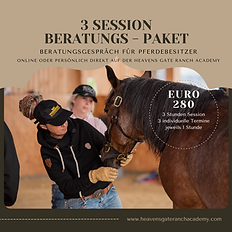 3 Session Paket Beratungsgespräch Buchung