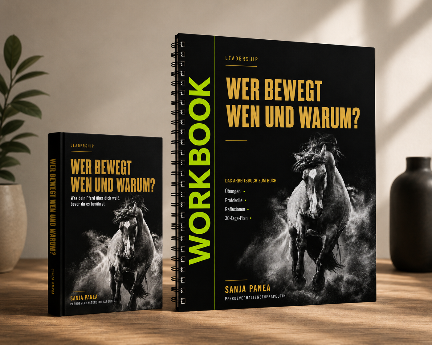 Set Wer bewegt wen und warum? Buch + Workbook