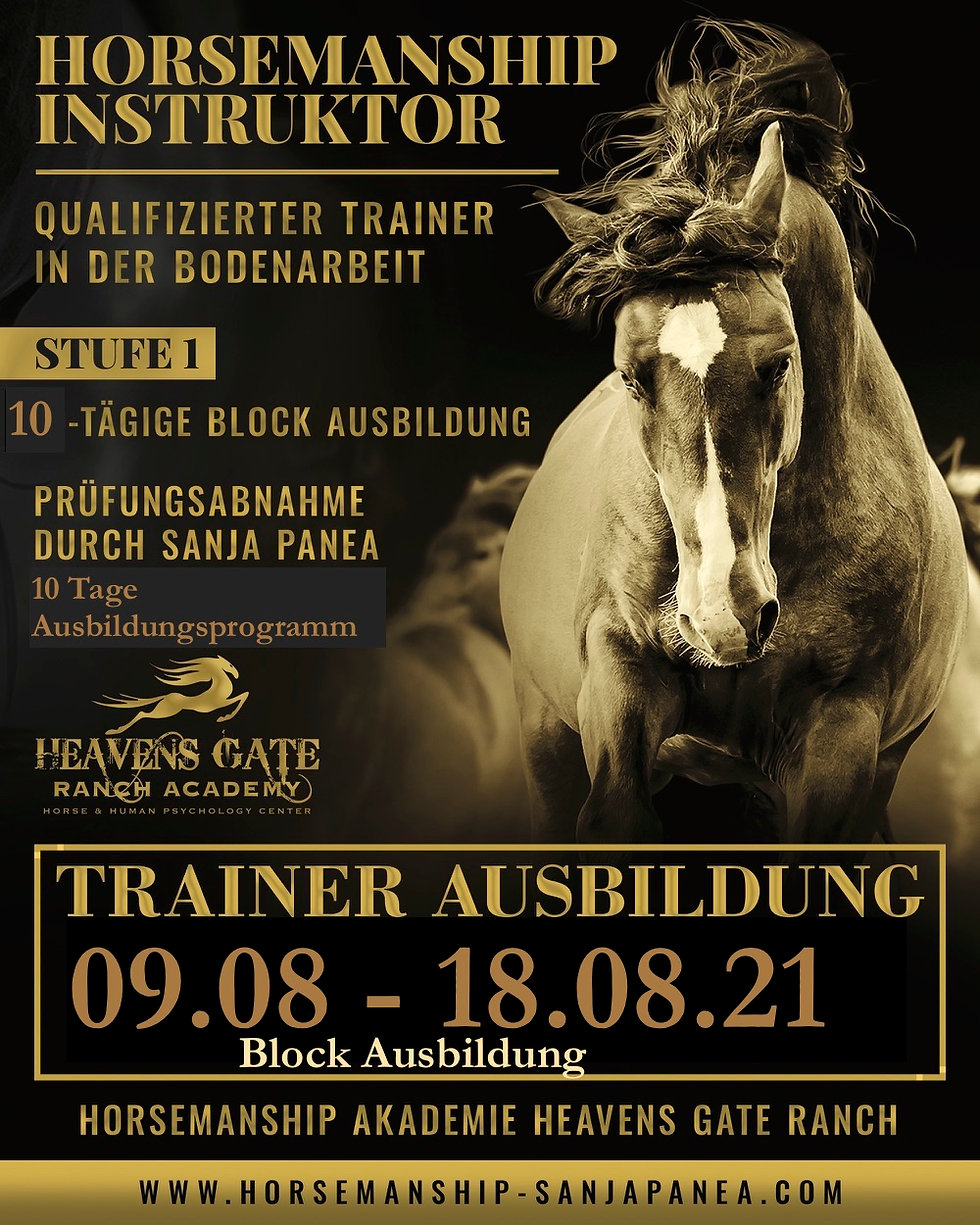 hgr trainer aug.21.jpeg