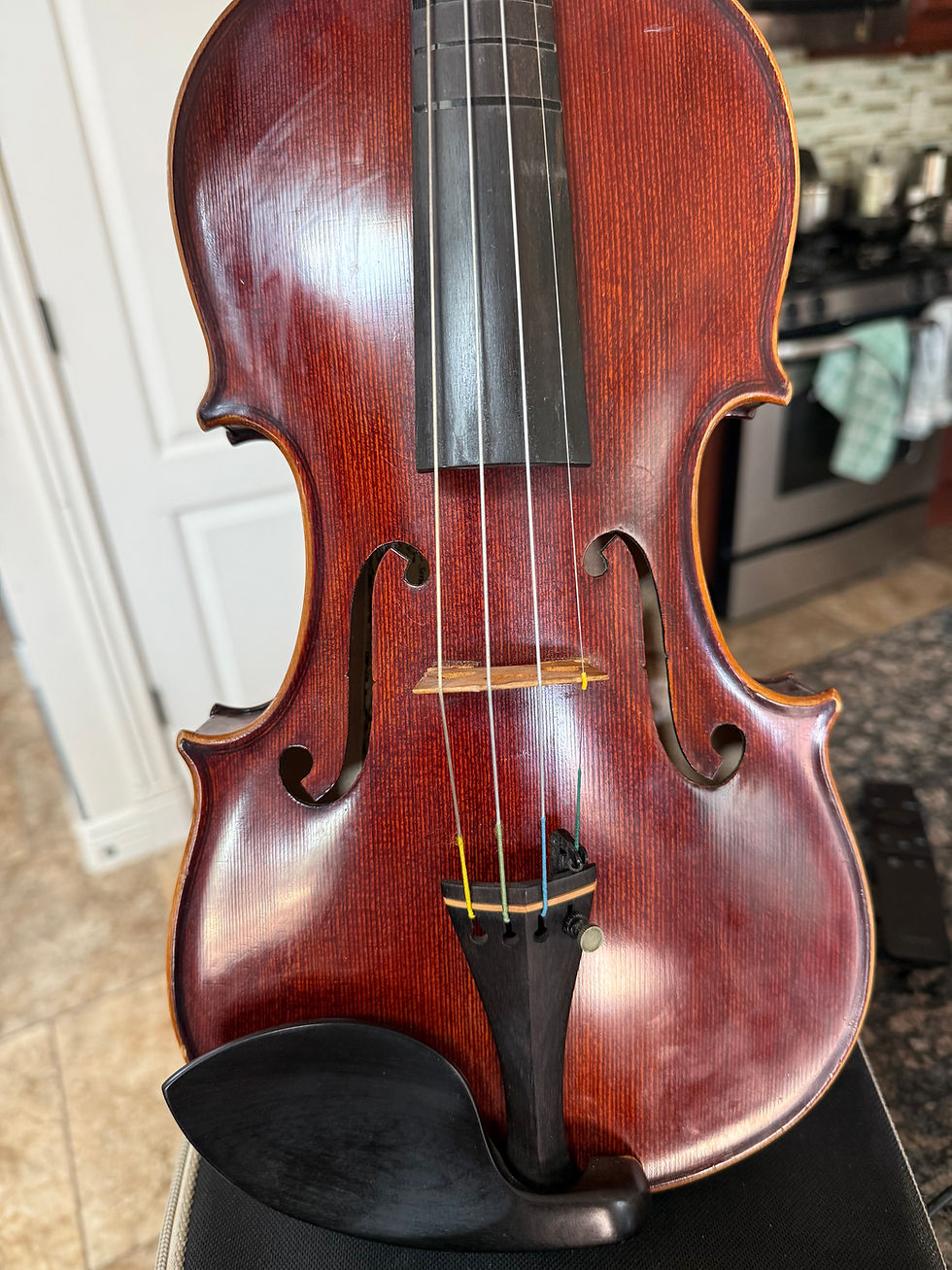 Klein Violin Shop Violin