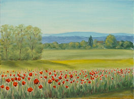 Mohnblumen Eva Jaeckle.jpeg