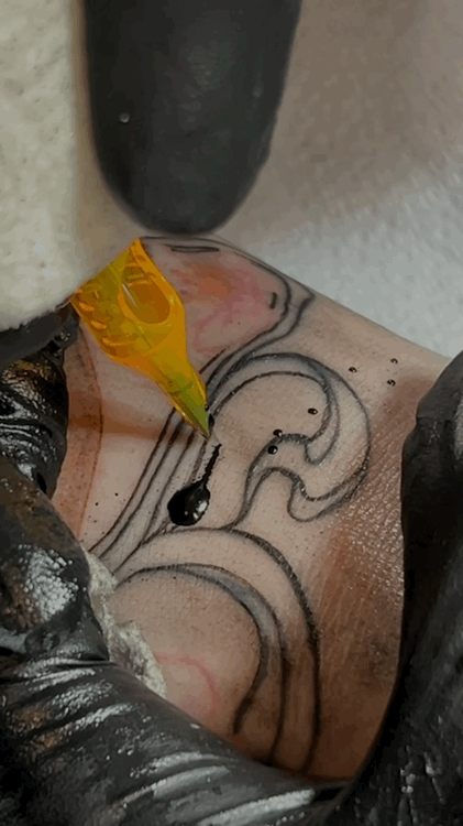 VideoToGif_GIF 5.GIF