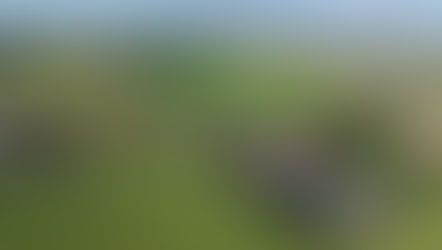 Ondergrondse zoetwateropslag moet Texelse boeren zelfvoorzienend maken