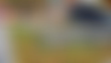 Urban Water Buffer maakt Cromvlietpark klimaatadaptief