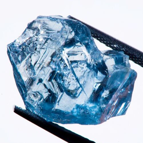 ree