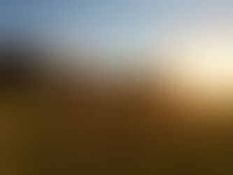 Are governments serious about creating jobs?