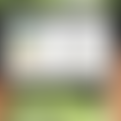 Y... ¿Ya te llegó la beca?