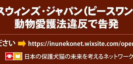 「日本の保護犬猫の未来を考えるネットワーク」として、ピースウィンズジャパンを動物愛護法違反で告発しました
