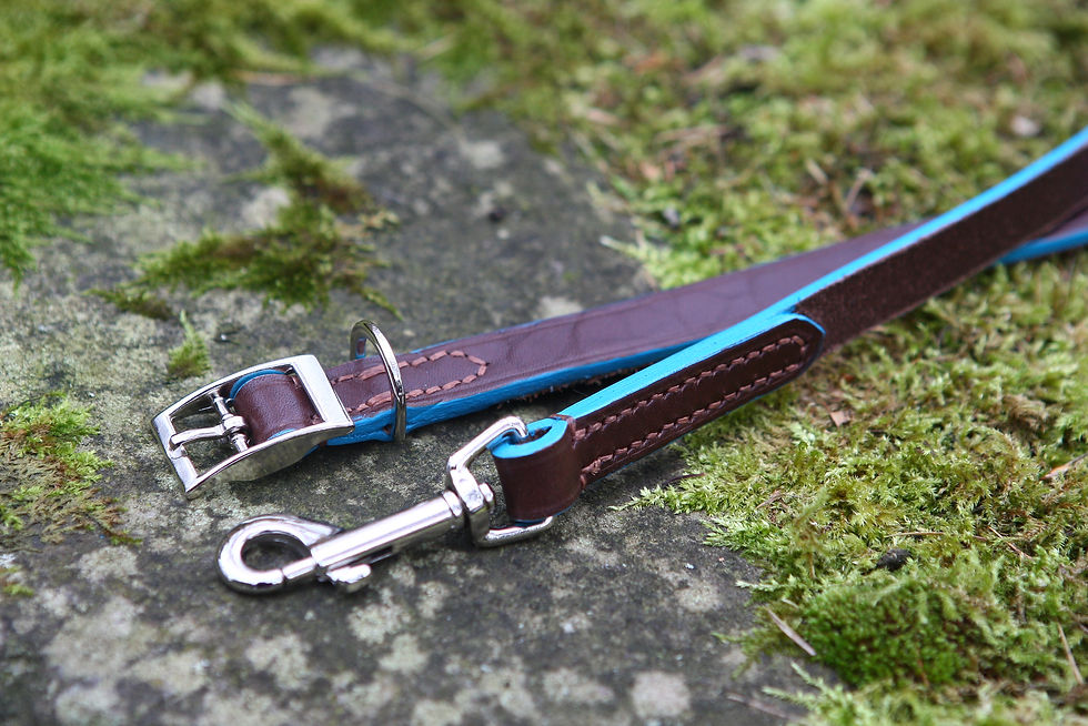 Thumbnail: Traditional Swivel snap lead