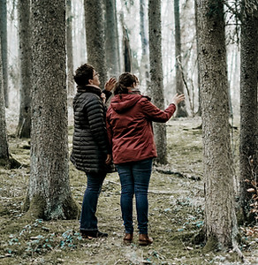 DSC04410-Bearbeitet 2.JPG