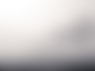 Nebeliger Weg mit Baumreihe – Symbol für Perspektivwechsel und berufliche Neuorientierung