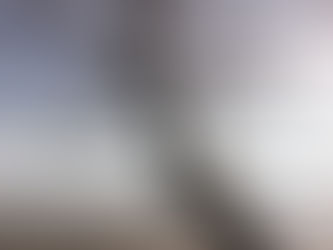 Schräg wachsender Baum am Ufer eines ruhigen Sees mit weitem Blick über das Wasser – Sinnbild für berufliche Neuorientierung und unterschiedliche Wege im Leben