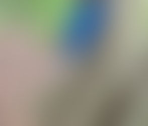 Columbia: Biodiversity Gone Berserk