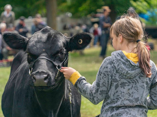 Uxbridge Fall Fair ready to roll with packed weekend lineup