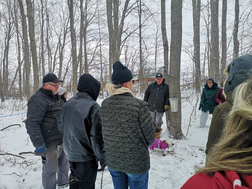 Walk Softly – Maple Syrup: From Tree to Table