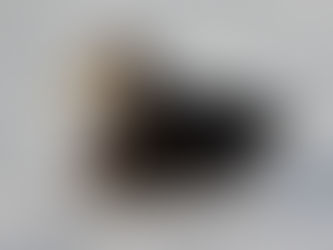 Walk Softly – Jaws vs. The Birds!