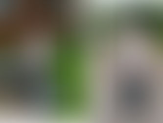 Walk a Mile in My Shoes - Terry Foster