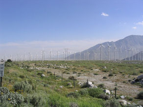 Walk Softly – Is Wind Turbine Technology Changing for the Better?