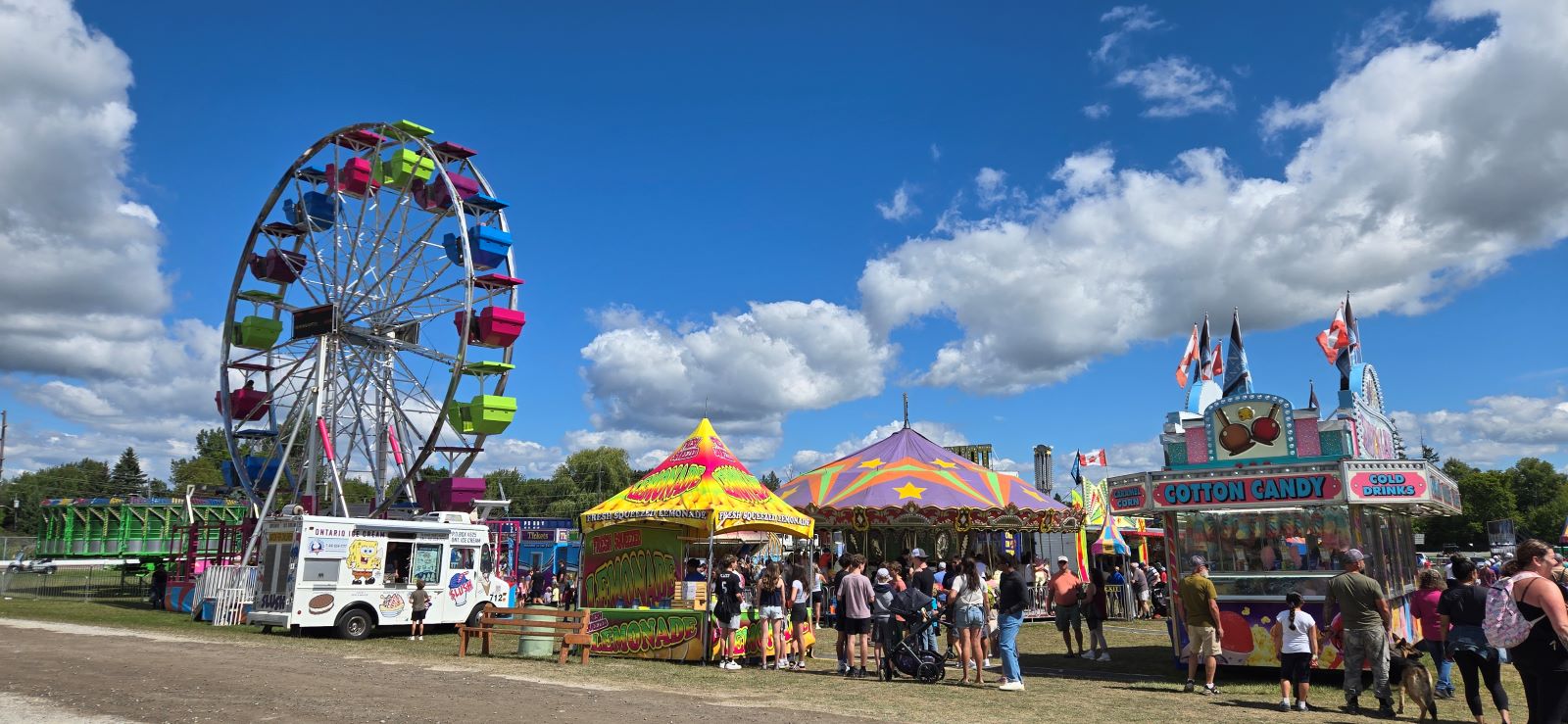 End of summer tradition lives on at 172nd Port Perry Fair