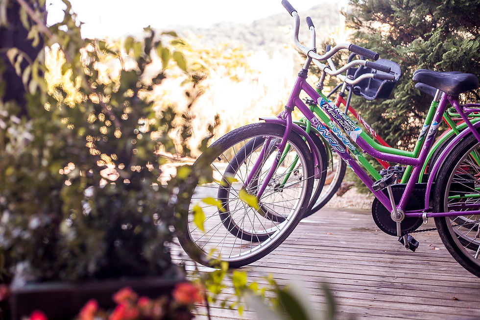 Pousada Vale dos ventos, pousada Rio dos Cedros, casamento rio dos ced